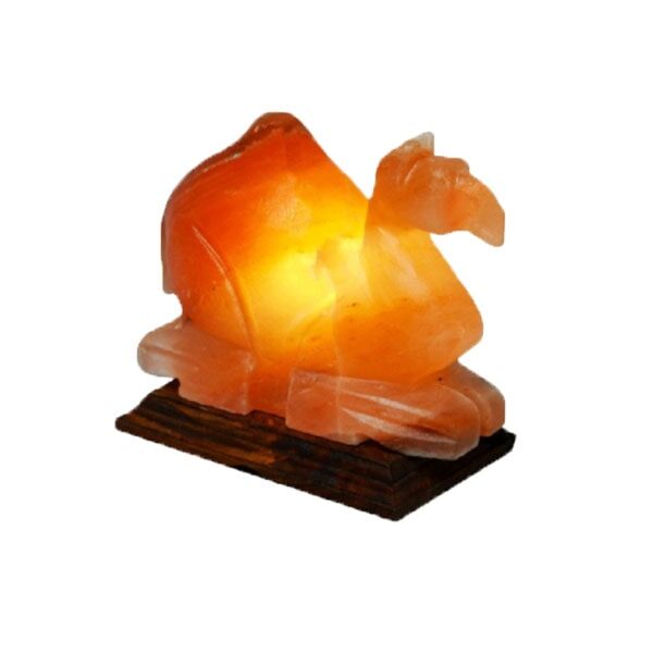 Camel Salt Lamp