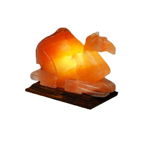 Camel Salt Lamp
