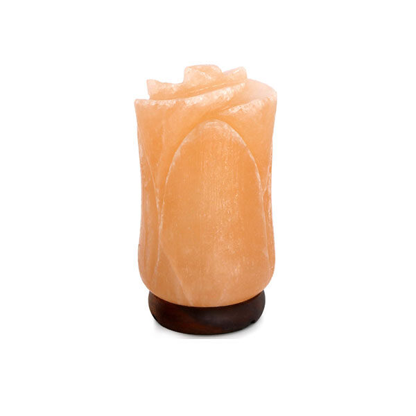 Flower Salt Lamp